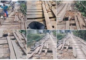 Screenshot_20250714-132010