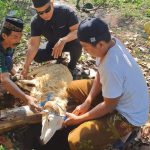 Semangat Iduladha, Ketua Pokja Wartawan Bandung Barat Sembelih dan Bagikan Hewan Qurban 